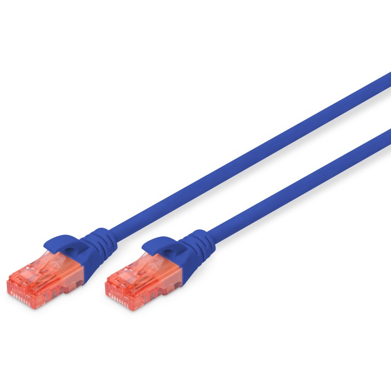 DIGITUS CAT 6 U/UTP Patch Cable - LSZH - 0.25 m - Blue — Buy in Cyprus with Fast Delivery