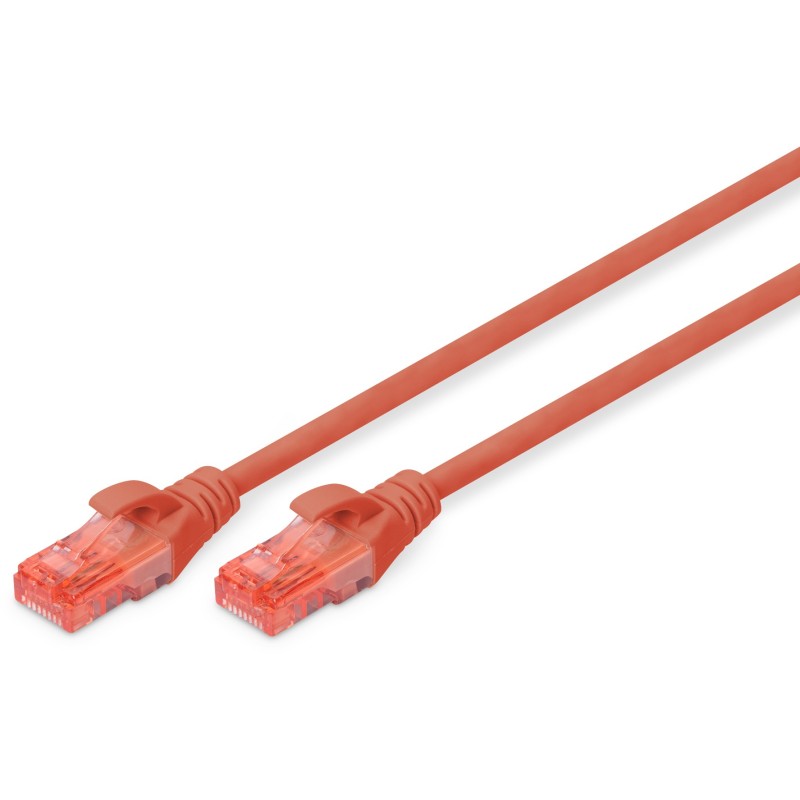 DIGITUS CAT6 U/UTP Patchkabel - 0.25 m - Red, Cat6, U/UTP, LSZH — Buy in Cyprus with Fast Delivery