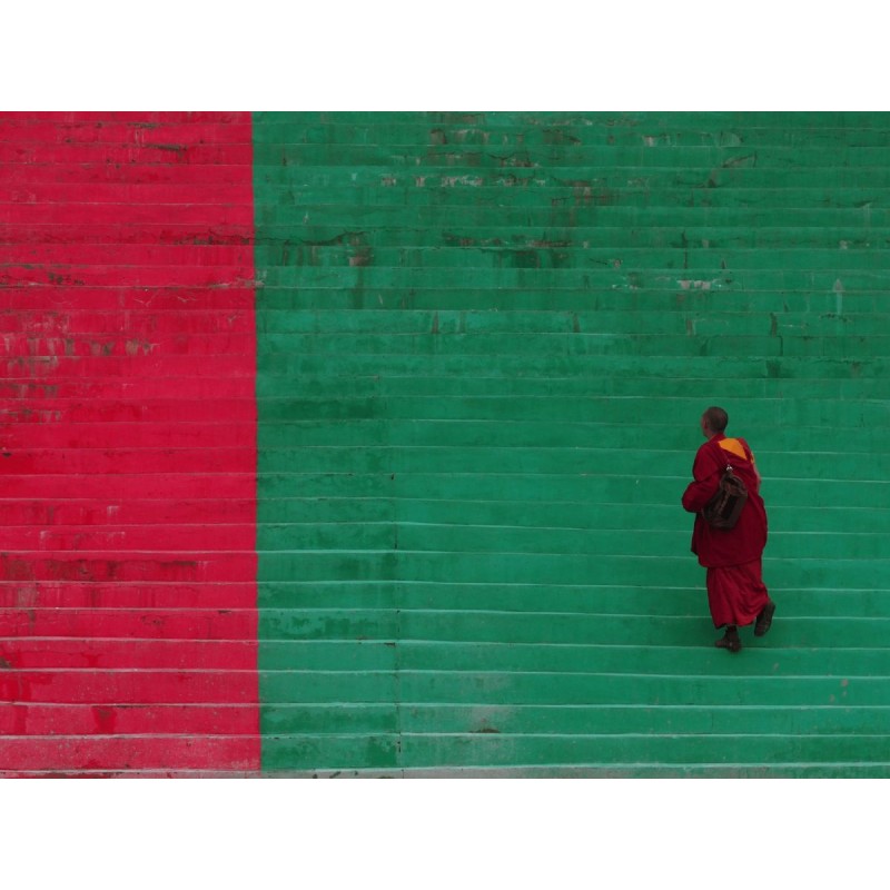 M.Zuiko Digital ED 40-150mm F2.8 PRO - EZ-M4015PRO - Black — Buy in Cyprus with Fast Delivery