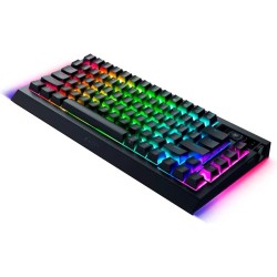 Razer BLACKWIDOW V4 75% Pro Wireless Mechanical RGB Keyboard - V4 - (75% form factor, Orange tactile switch, Wireless)