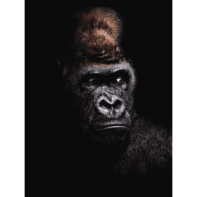 Olympus M.Zuiko Digital ED 40-150mm f/4-5.6 R - EZ-M4015-R - Black, Micro Four Thirds — Buy in Cyprus with Fast Delivery