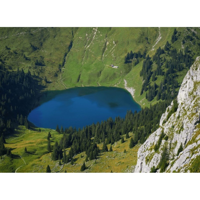 Olympus M.Zuiko Digital ED 40-150mm f/4-5.6 R - EZ-M4015-R - Black, Micro Four Thirds — Buy in Cyprus with Fast Delivery