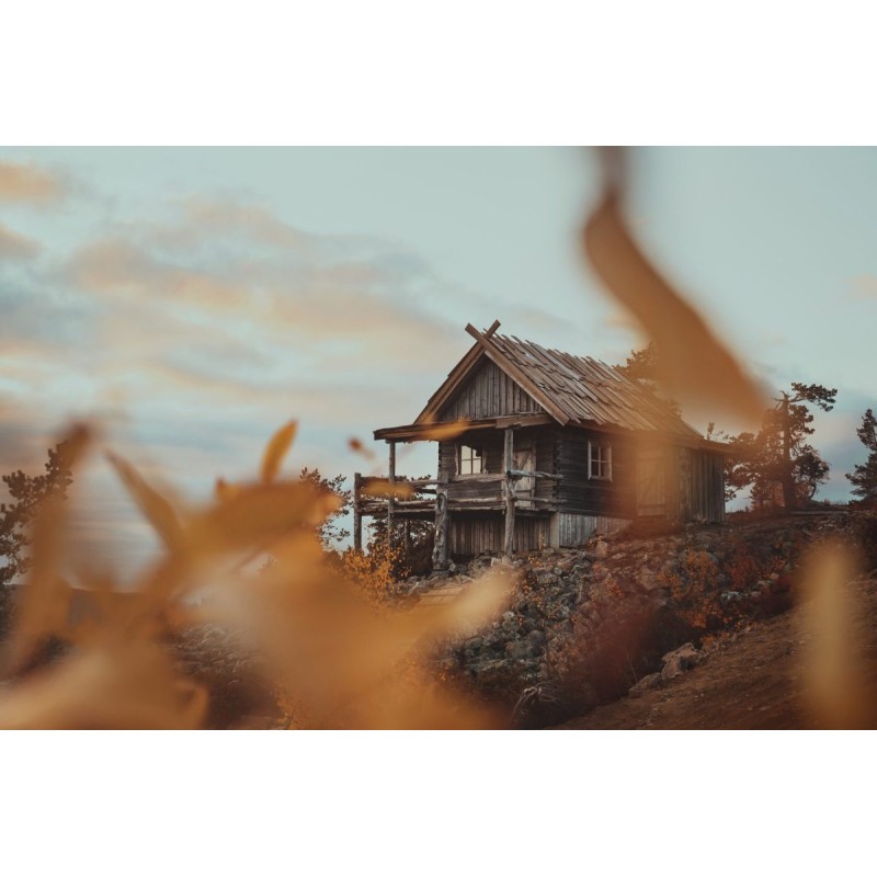 Olympus OM SYSTEM M.Zuiko PRO Digital ED 20mm 1:1.4 incl. Lens hood & Wrapping cloth — Buy in Cyprus with Fast Delivery