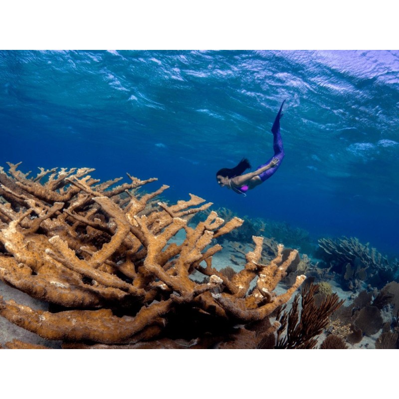 M.ZUIKO DIGITAL ED 8mm F1.8 FISHEYE PRO - 8mm F1.8 - Ultra-wide fisheye lens — Buy in Cyprus with Fast Delivery