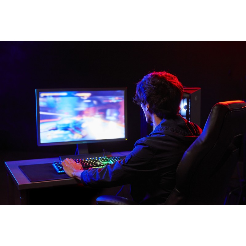 Kingston FURY Beast - DDR5 6000MHz - 32GB (2x16GB) Kit — Buy in Cyprus with Fast Delivery