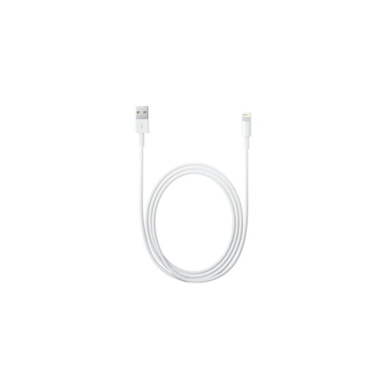Apple Lightning to USB Cable - White, 2 m — Buy in Cyprus with Fast Delivery
