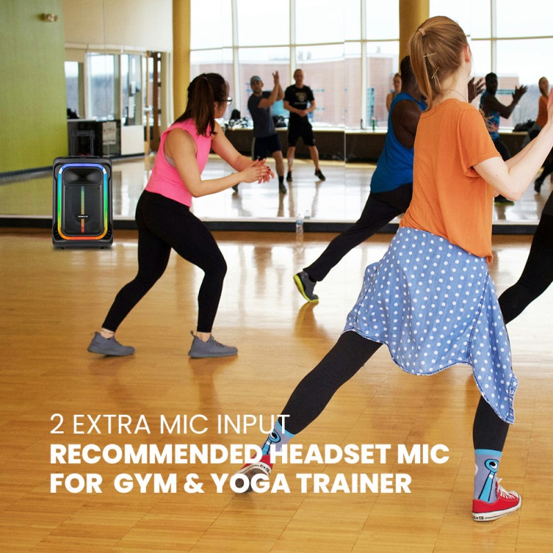 SonicGear Portable Karaoke Speaker - 1300 Pro - 12'' 240W TWS BT USB 2x Mics HYPERBOX — Buy in Cyprus with Fast Delivery