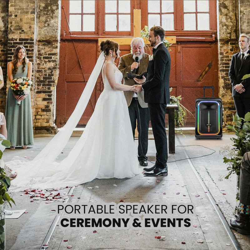 SonicGear Portable Karaoke Speaker - 1300 Pro - 12'' 240W TWS BT USB 2x Mics HYPERBOX — Buy in Cyprus with Fast Delivery