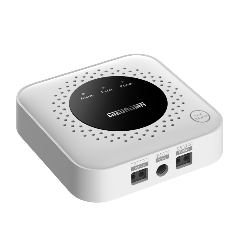 Dahua Alarm Wireless Standalone Gas Detector - HY-GB40A - Alarm Wireless Standalone Gas Detector