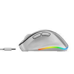 Genius Mouse - 9000S Pro - Wireless+BT Rechargeable Mini RGB Ergo Silver — Buy in Cyprus with Fast Delivery