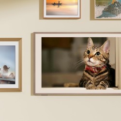 Hisense Canvas TV - 55S7N - 55'' 4K Smart QLED 120hz Canvas TV — Buy in Cyprus with Fast Delivery