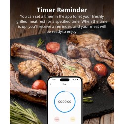 Sonoff WiFi BBQ Meat Thermometer - BMT01 - WiFi BBQ Meat Thermometer — Buy in Cyprus with Fast Delivery