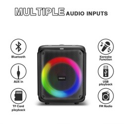 SonicGear Portable Karaoke Speaker - AudioXPro600HD - 90W BT USB FM with 1 Wireless Microphone