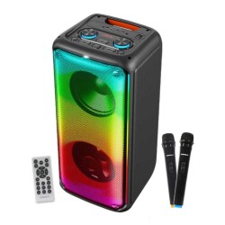 SonicGear 2 x 8'' Portable Karaoke Speaker with Voice Changer - AudioXPro800HD - 2 x Wireless Microphones included