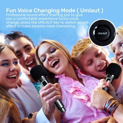 SonicGear 2 x 8'' Portable Karaoke Speaker with Voice Changer - AudioXPro800HD - 2 x Wireless Microphones included