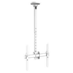 GBC TV Ceiling Mount - TCM-3280 - 40x40 50kg 56-91cm up to 80' White — Buy in Cyprus with Fast Delivery