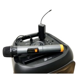 N-Gear Portable Karaoke Speaker with Lights - JUKE 12 LPG - Portable Karaoke Speaker with Lights