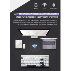 Thunderobot Office Mechanical Keyboard - K96 - Trimode 2.4GHz-BT-USBC 96 Red Switch Keys — Buy in Cyprus with Fast Delivery