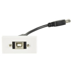 AV:Link Wall Plate Module USB-B 2.0 - 122.535UK - Wall Plate Module USB-B 2.0 — Buy in Cyprus with Fast Delivery