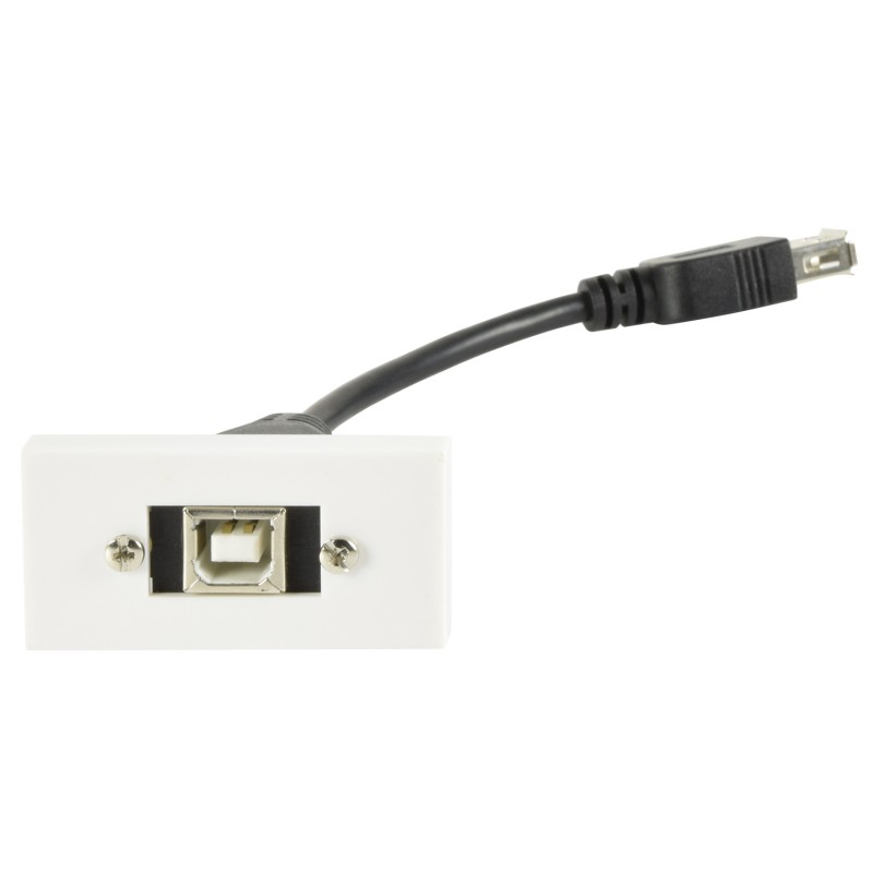 AV:Link Wall Plate Module USB-B 2.0 - 122.535UK - Wall Plate Module USB-B 2.0 — Buy in Cyprus with Fast Delivery