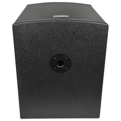 Citronic Passive Subwoofer - CASA-15B - 500Wrms 178.126UK — Buy in Cyprus with Fast Delivery