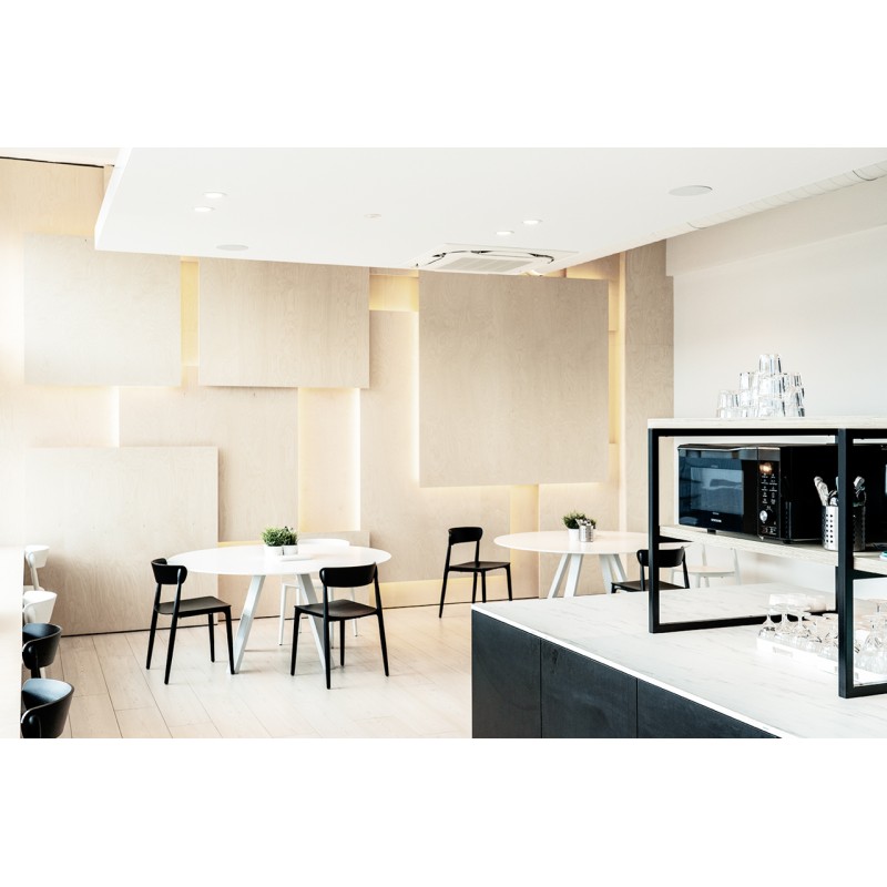 Artsound FLAT Round Speaker Stereo 100W (Single) - FL550 - Round, Speaker, Stereo, 100W, Single