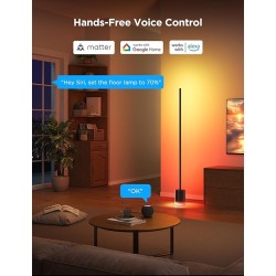 Govee Lamp Floor Smart RGBICWW Supports Matter - H607C - Floor Lamp 2 Black — Buy in Cyprus with Fast Delivery