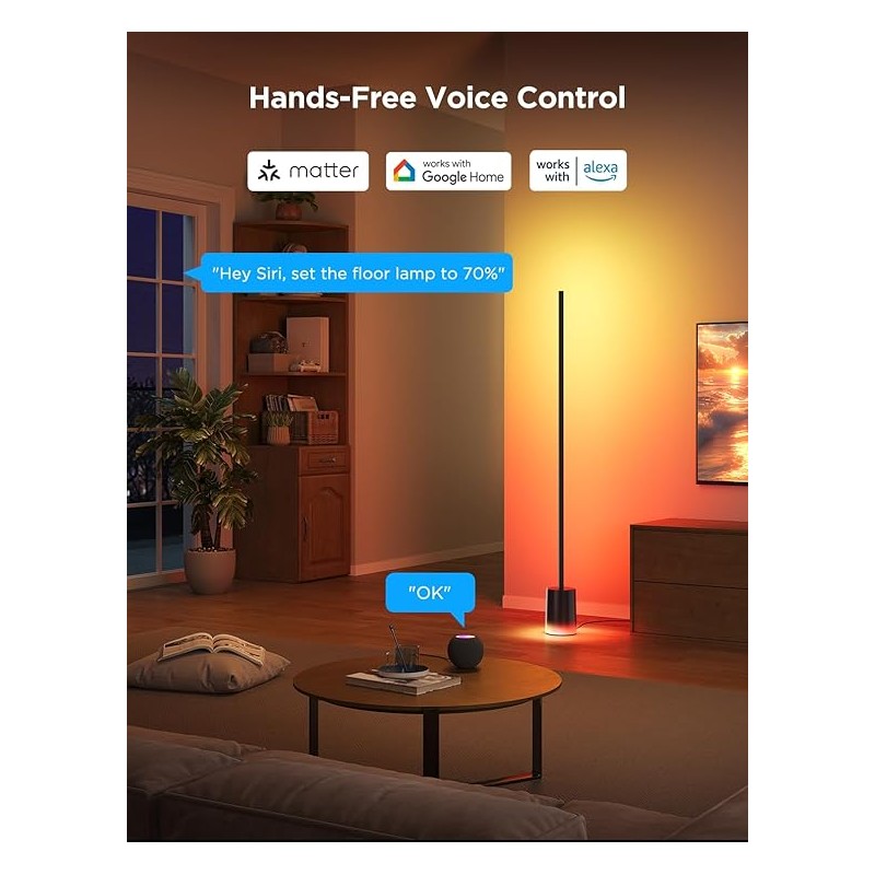 Govee Lamp Floor Smart RGBICWW Supports Matter - H607C - Floor Lamp 2 Black — Buy in Cyprus with Fast Delivery