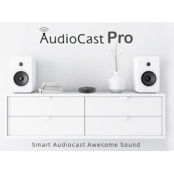 iEast Audiocast - M20 - WiFi+BT Multiroom Audio Receiver — Buy in Cyprus with Fast Delivery