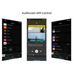 iEast Audiocast - M20 - WiFi+BT Multiroom Audio Receiver — Buy in Cyprus with Fast Delivery