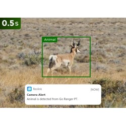 Reolink Outdoor Battery Camera - BP4G - 4K PTZ GO Ranger PT + Solar — Buy in Cyprus with Fast Delivery