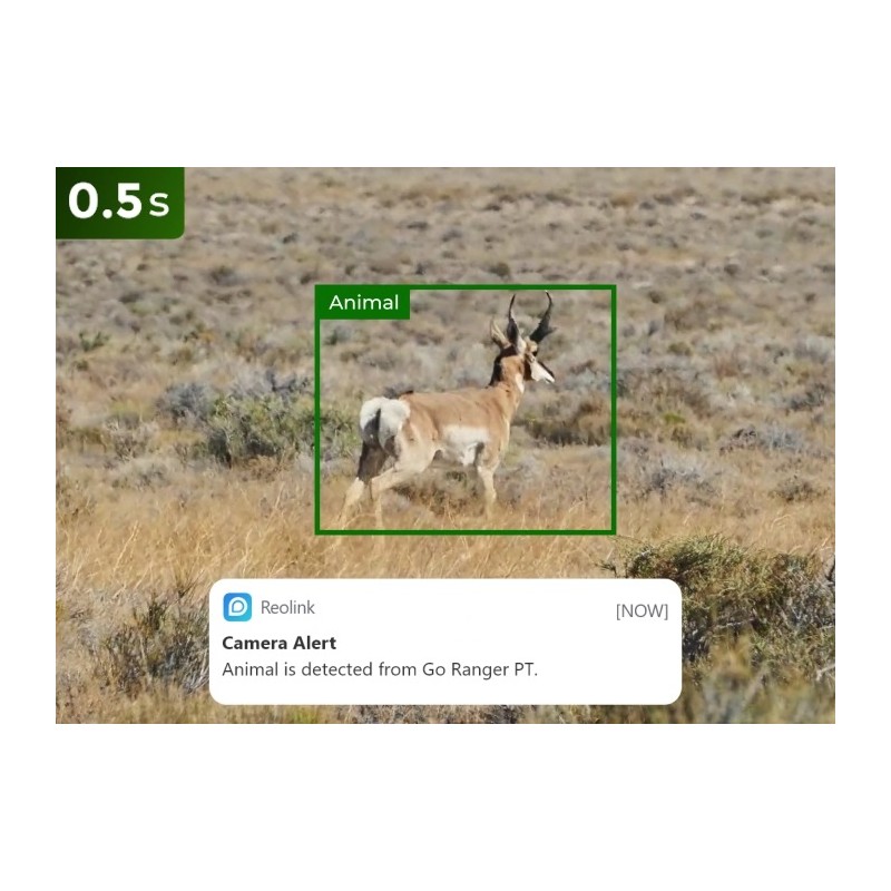 Reolink Outdoor Battery Camera - BP4G - 4K PTZ GO Ranger PT + Solar — Buy in Cyprus with Fast Delivery