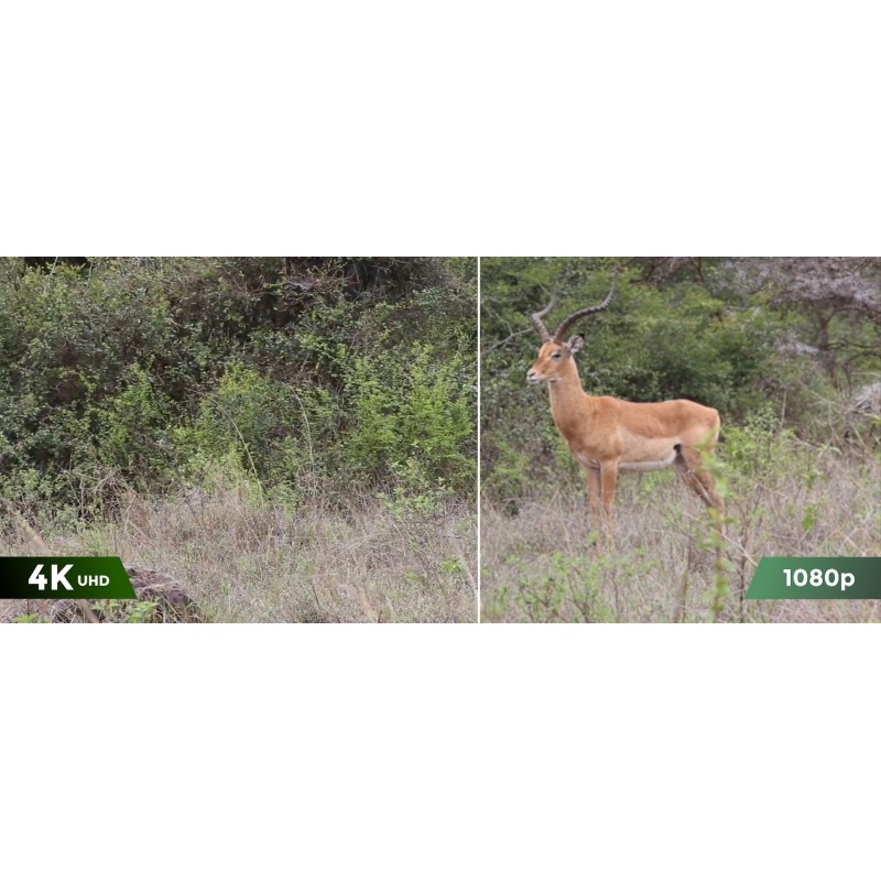 Reolink Outdoor Battery Camera - BP4G - 4K PTZ GO Ranger PT + Solar — Buy in Cyprus with Fast Delivery