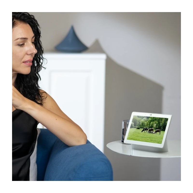 Reolink Outdoor Battery Camera - BP4G - 4K PTZ GO Ranger PT + Solar — Buy in Cyprus with Fast Delivery