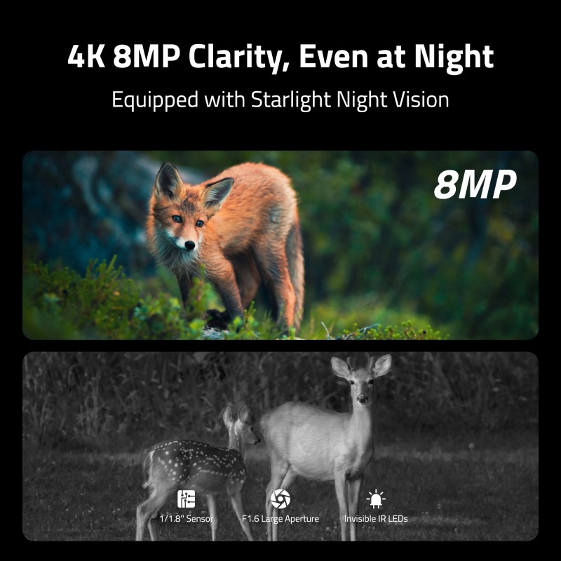 Reolink BP4G Outdoor Battery Camera 4K Wildlife Camovue Talon Series - S130 — Buy in Cyprus with Fast Delivery