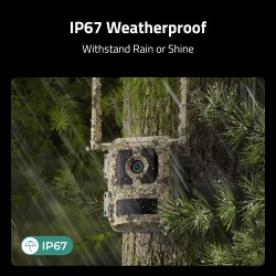 Reolink BP4G Outdoor Battery Camera 4K Wildlife Camovue Talon Series - S130 — Buy in Cyprus with Fast Delivery