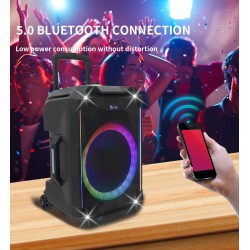 N-Gear Karaoke Speaker - FLASH1040 - 10'' Portable Karaoke Speaker with 1x Wireless Mic LED Lights USB & BT