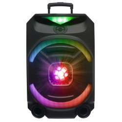 N-Gear - FLASH1550 - 15'' Portable Karaoke Disco Speaker with Wireless Mic BT USB & LED Effects