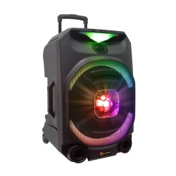 N-Gear - FLASH1550 - 15'' Portable Karaoke Disco Speaker with Wireless Mic BT USB & LED Effects