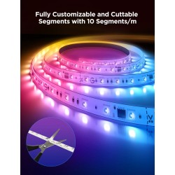 Govee LED Light Strip RGBICWW Smart WiFi & BT with Protective Coating 5m (Matter) - H61F5 - RGBICWW, 5m, Matter