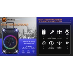 N-Gear Portable Karaoke Speaker - FLASH1540 - 15'' Portable Karaoke Speaker with 1x Wireless Mic LED Lights USB & BT