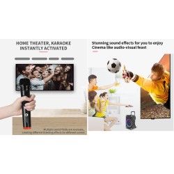 N-Gear Portable Karaoke Speaker - FLASH1540 - 15'' Portable Karaoke Speaker with 1x Wireless Mic LED Lights USB & BT