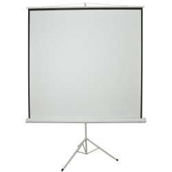 AV:Link Tripod Projector Screen - 4:3 - 100' - 2.0x1.5 — Buy in Cyprus with Fast Delivery