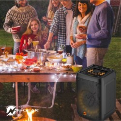 N-Gear FLASH BANGER Portable Karaoke Speaker - 777 - With Two Microphones — Buy in Cyprus with Fast Delivery