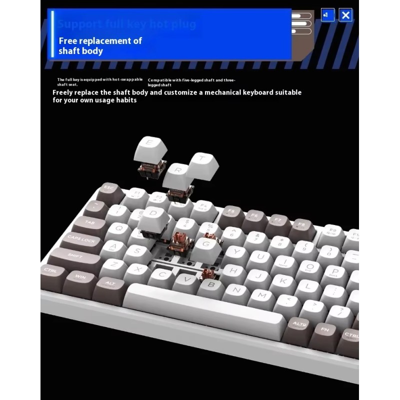 Thunderobot GASKET Mechanical Keyboard - K98 - Trimode 2.4GHz-BT-USBC 99 Red Switch Keys — Buy in Cyprus with Fast Delivery