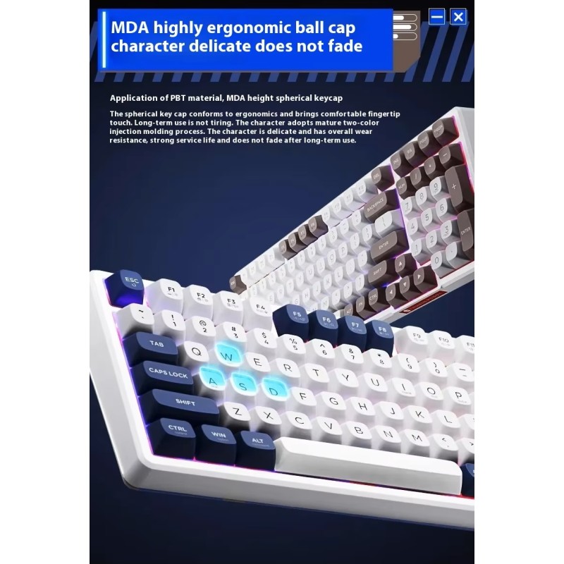 Thunderobot GASKET Mechanical Keyboard - K98 - Trimode 2.4GHz-BT-USBC 99 Red Switch Keys — Buy in Cyprus with Fast Delivery