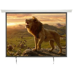 AV:Link Electric Screen - 952.323UK - 4:3 120'' 2.4x1.8 — Buy in Cyprus with Fast Delivery