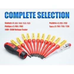 Proskit Screwdriver Insulated VDE Set of 13 pcs - SD-V861 - Proskit Screwdriver Insulated VDE Set of 13 pcs