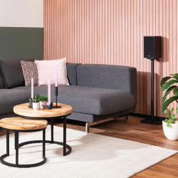 Marmitek Wireless Speaker Connection - Anywhere 650 - for Surround Speaker — Buy in Cyprus with Fast Delivery