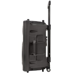 QTX QR12PA 12'' Professional Portable Karaoke & PA Speaker with 2x Wireless Microphones, Bluetooth USB & FM 178.847UK